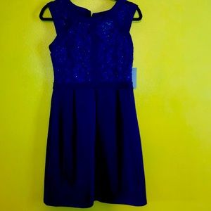 En Focus Studio Royal Blue Dress